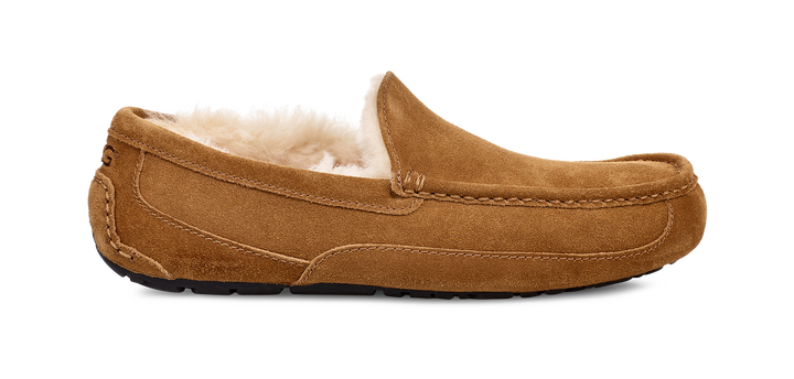 UGG ASCOT MEN'S SLIPPER