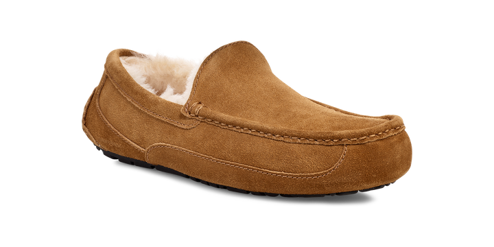 UGG ASCOT MEN'S SLIPPER