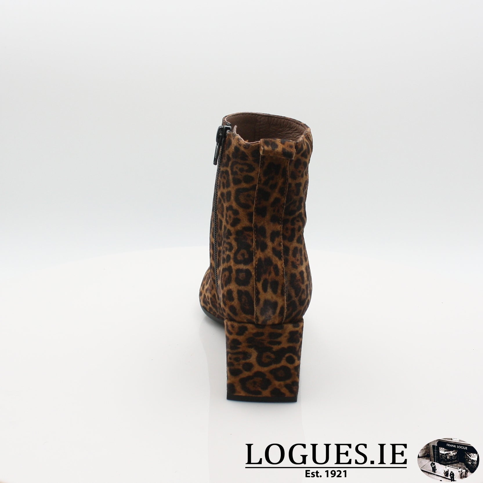 I7805 WONDERS 19, Ladies, WONDERS, Logues Shoes - Logues Shoes.ie Since 1921, Galway City, Ireland.